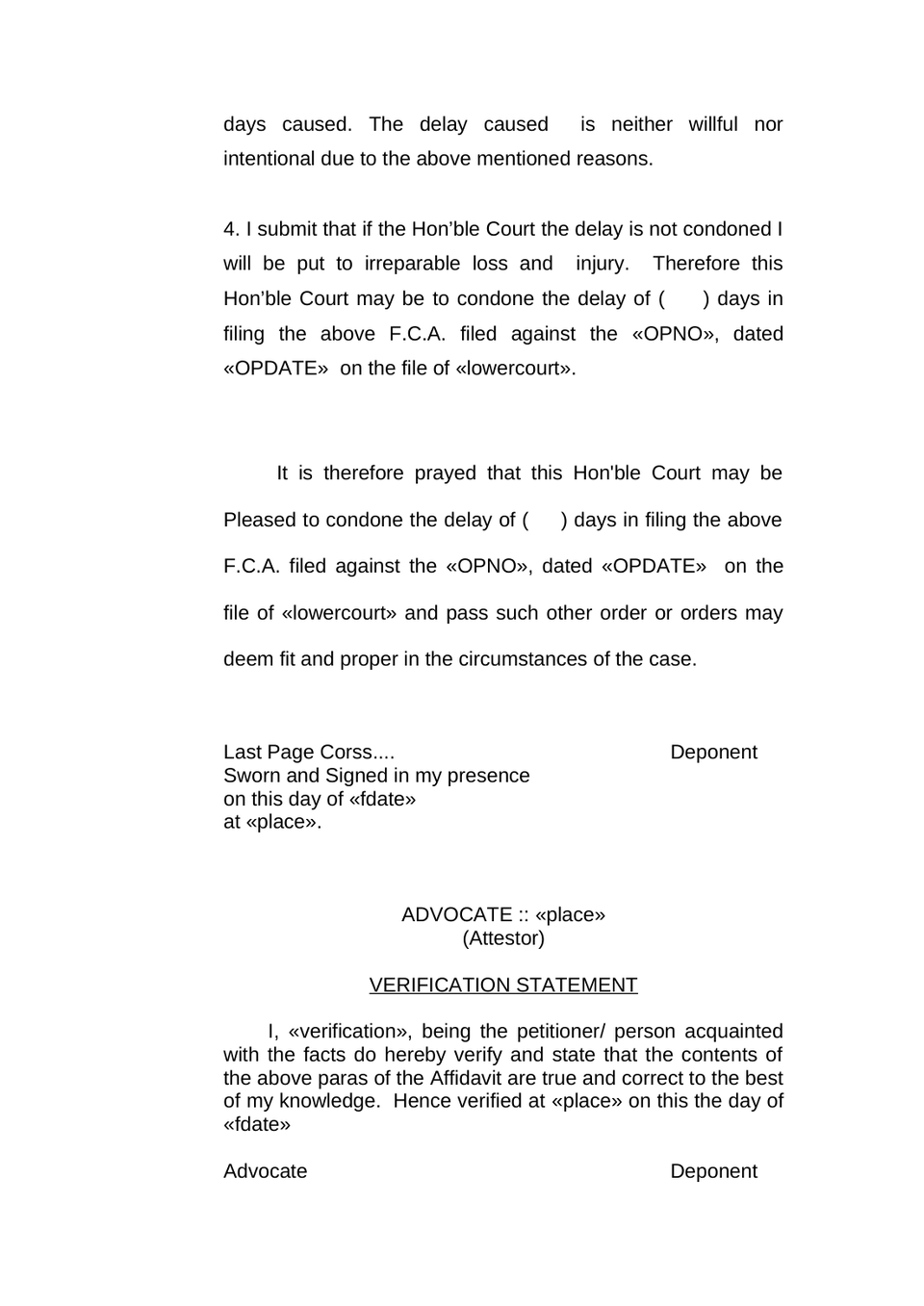 Family Court Appeal Petition preview page 19