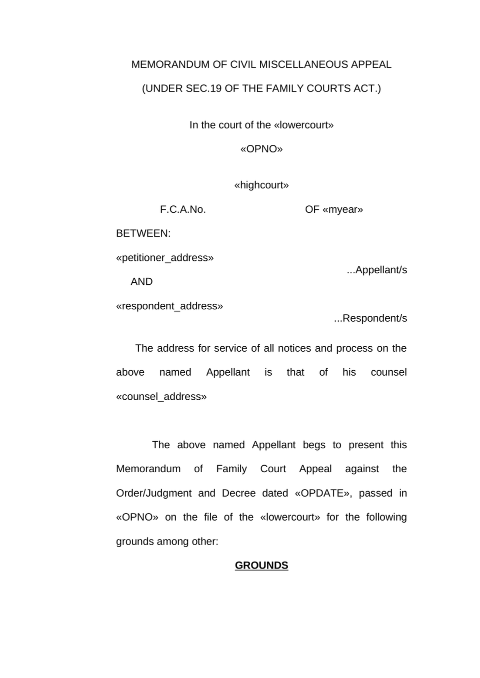 Family Court Appeal Petition preview page 4