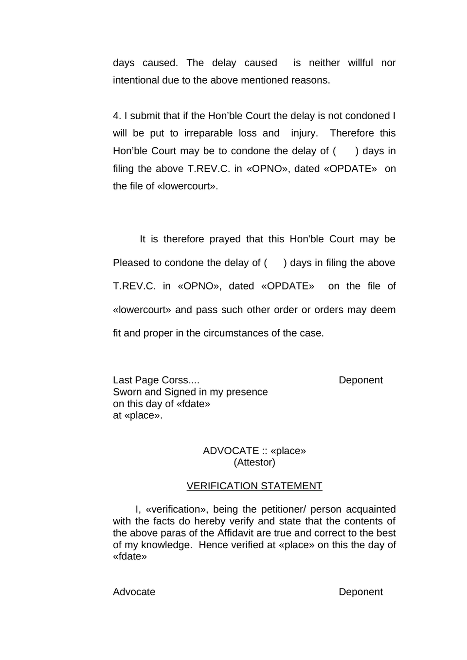 Tax Revision Case Petition preview page 19