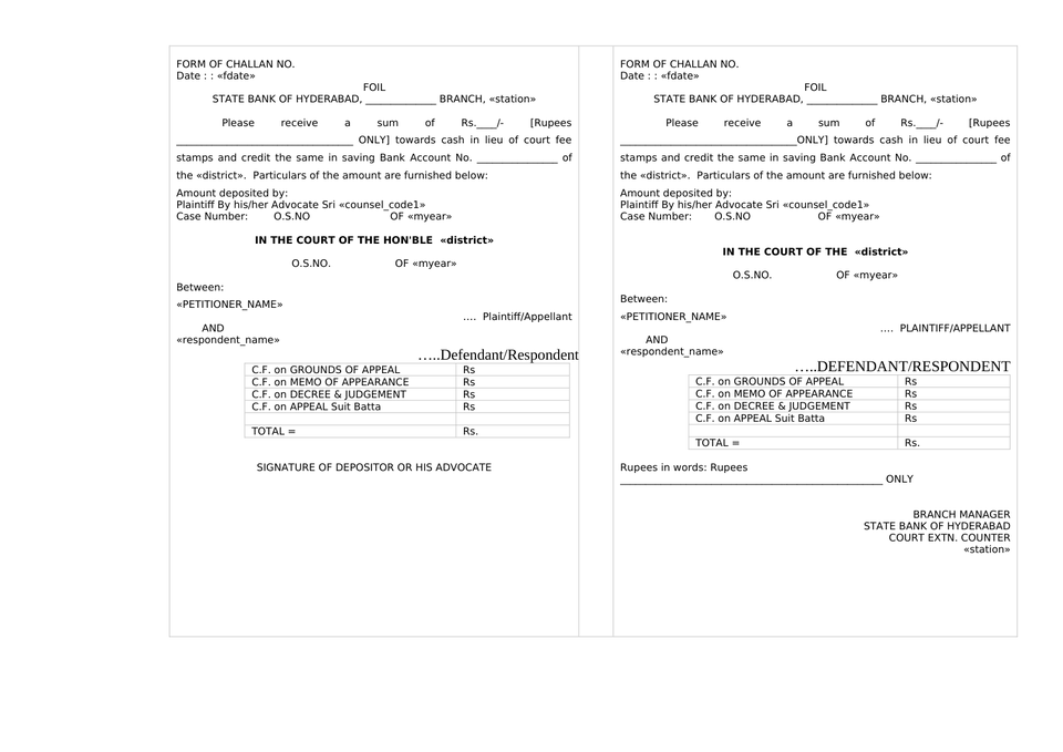 Form Of Challan petition format preview